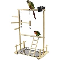 オウムスタンド(コメント用)‼ オウムスタンド(コメント用)‼